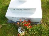 image of grave number 633531